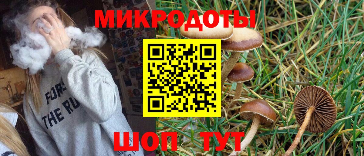 Тара  Псилоцибиновые грибы ЛСД  Вход с VPN  Галлюциногенные грибы Psilocybe 