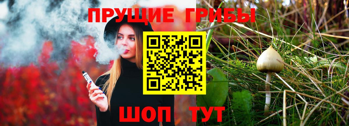 Псилоцибиновые грибы ЛСД Тара