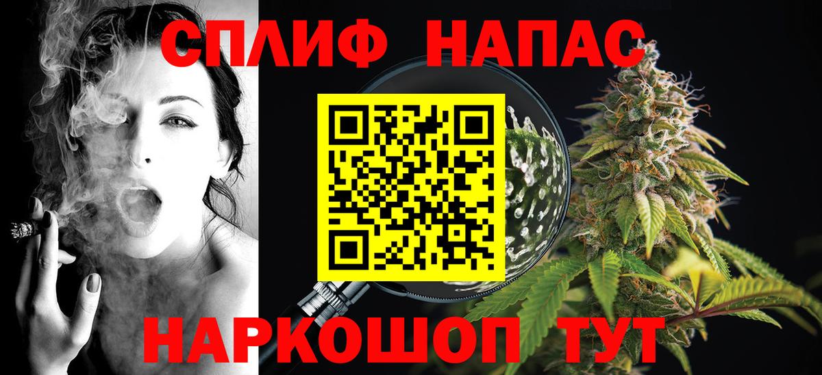 Тара  Канабис семена  Конопля сатива  Вход с VPN 